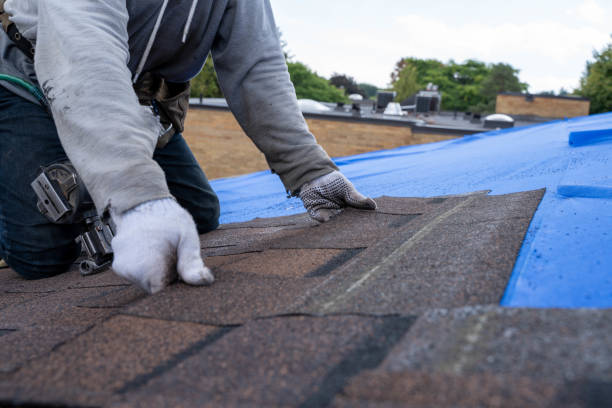 Best Sealant for Roof  in Tecumseh, MI