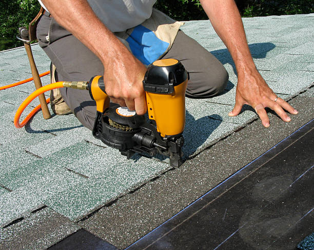 Best Local Roofing Companies  in Tecumseh, MI