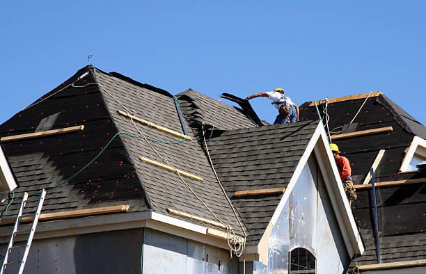Best Roof Maintenance Services  in Tecumseh, MI