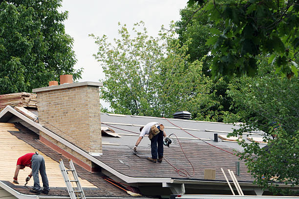 Best Storm Damage Roof Repair  in Tecumseh, MI