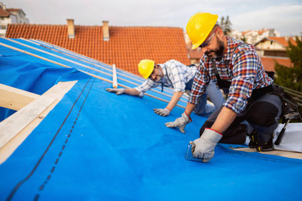 Best Sealant for Roof  in Tecumseh, MI