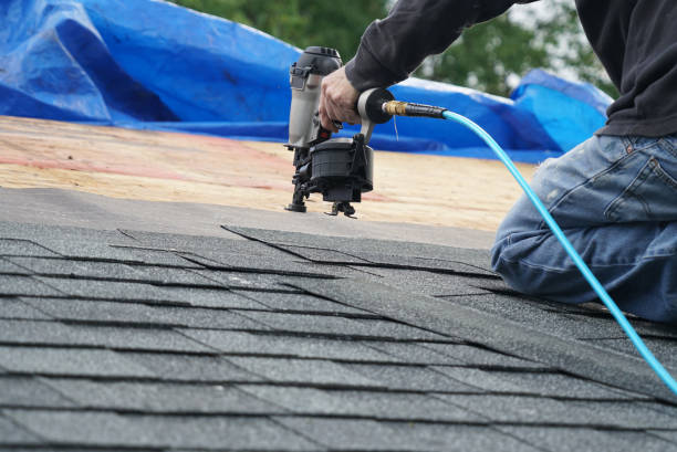 Best Roof Repair Services  in Tecumseh, MI