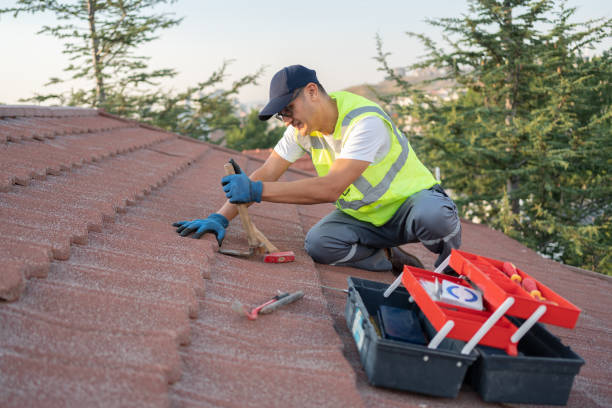 Best Roofing Contractor Near Me  in Tecumseh, MI